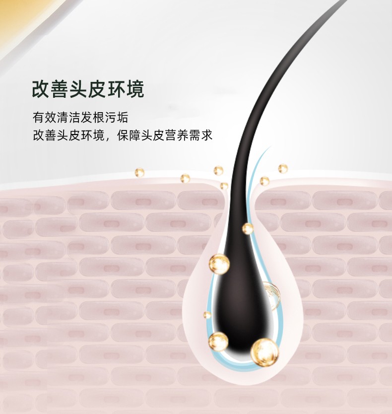 改善頭皮環境   有效清潔發根污垢   改善頭皮環境，保障頭皮營養需求